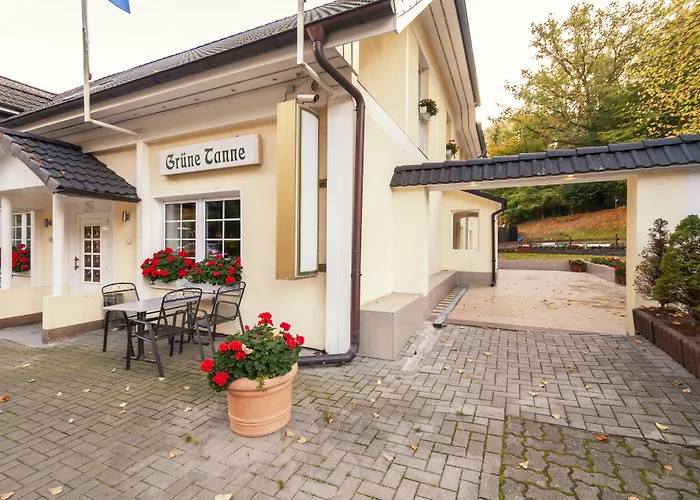 Hotel Gruene Tanne 3*